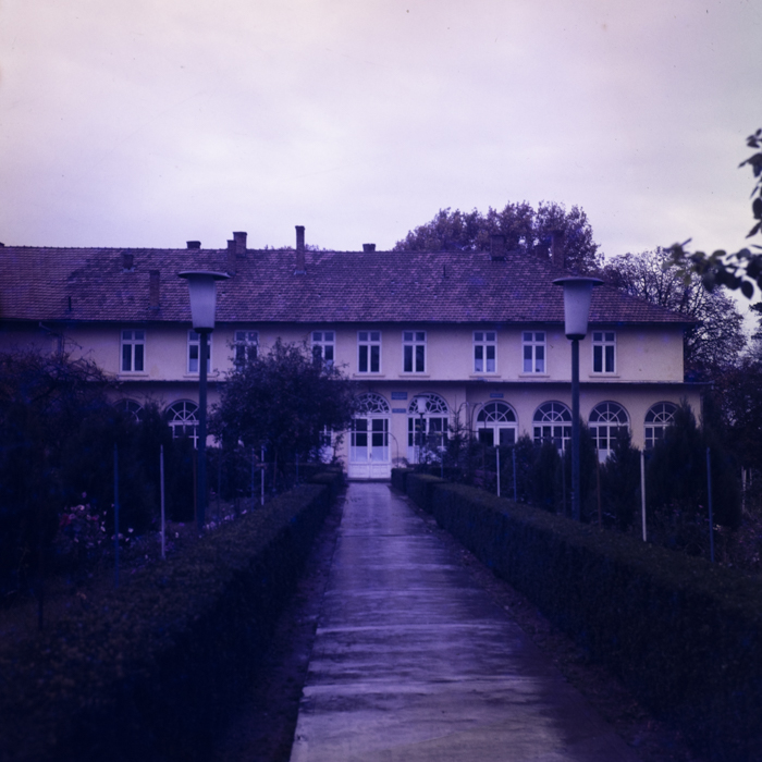 minerva_dn_1979_2437_valea_lui_mihai_006