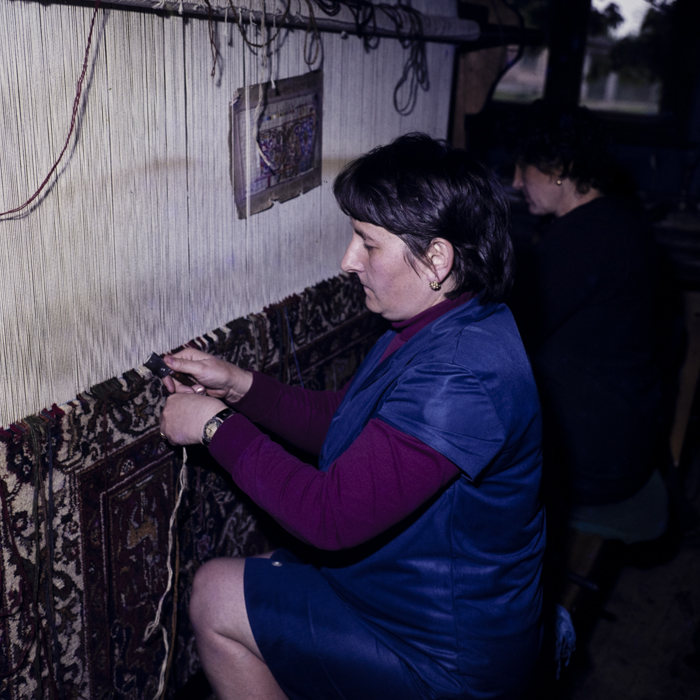 minerva_dn_1979_2447_com_reteag_jud_bistrita_nasaud_011