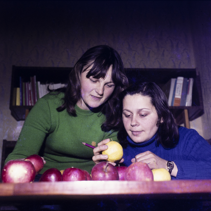 minerva_dn_1979_2447_com_reteag_jud_bistrita_nasaud_016