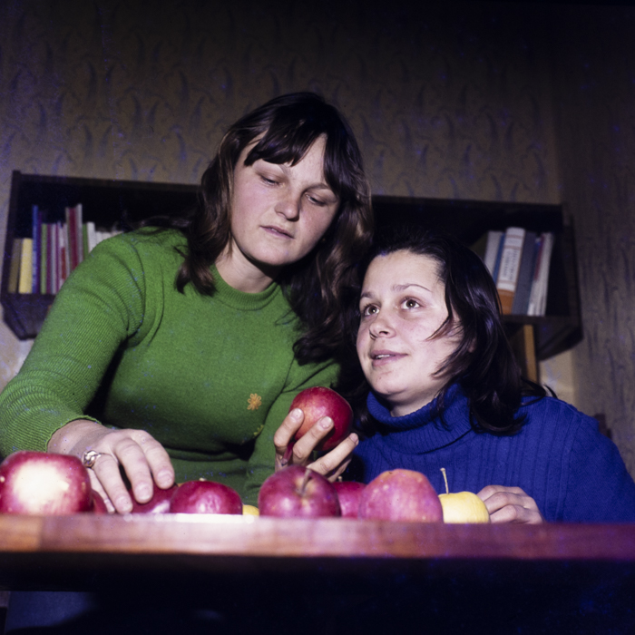 minerva_dn_1979_2447_com_reteag_jud_bistrita_nasaud_019