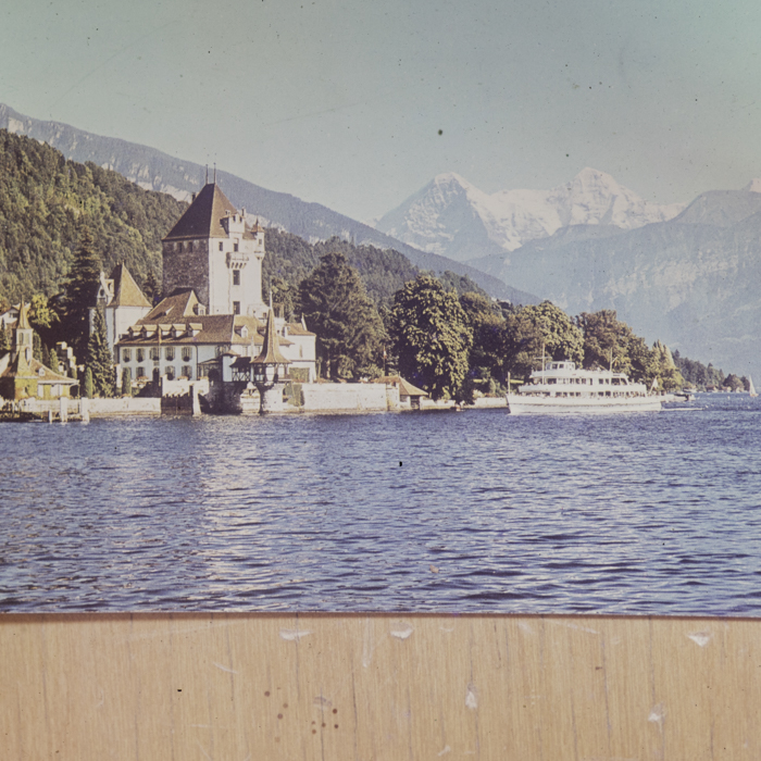 minerva_dn_1979_2450_reproduceri_002