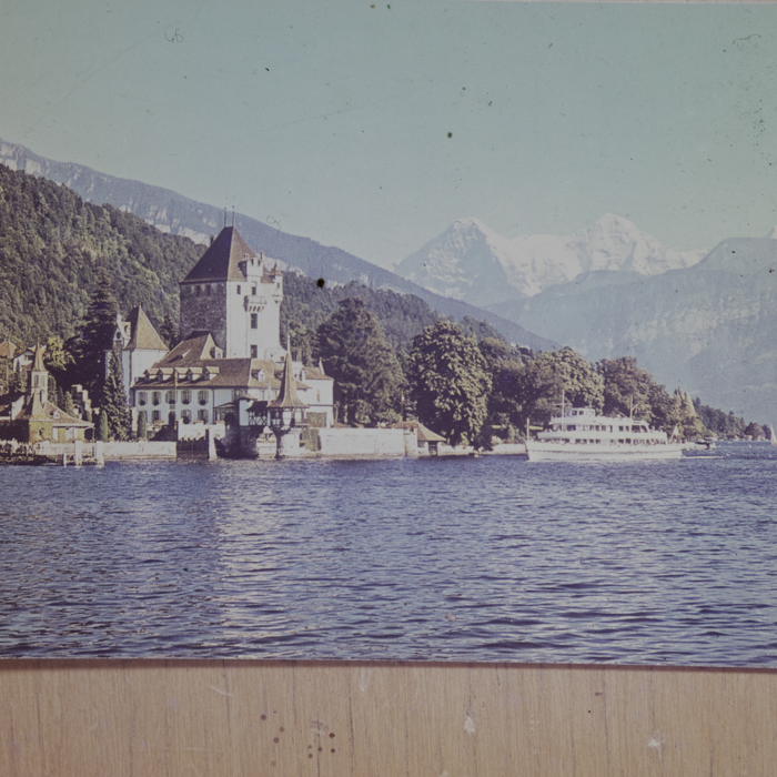 minerva_dn_1979_2450_reproduceri_006