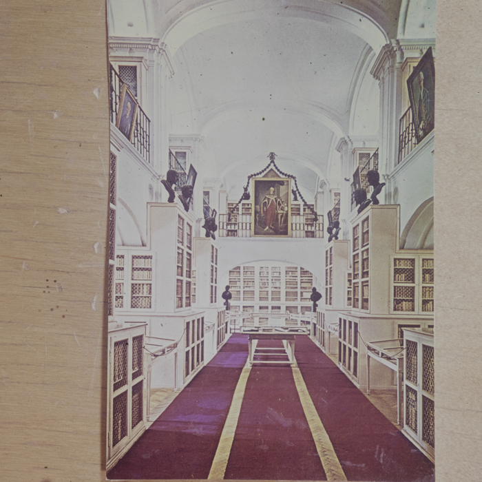 minerva_dn_1979_2450_reproduceri_007