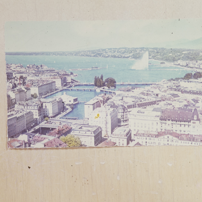 minerva_dn_1979_2450_reproduceri_016