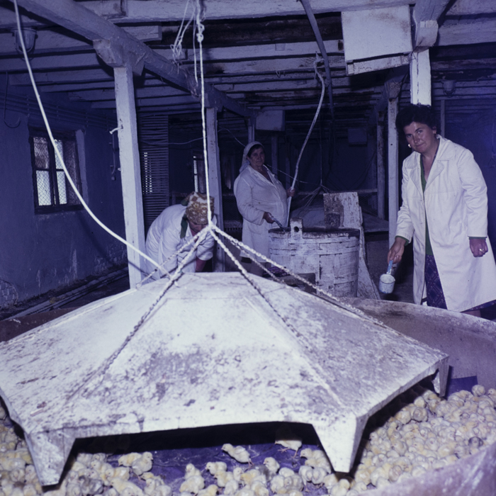 minerva_dn_1980_1483_c.a.p_putinei_judetul_teleorman_002