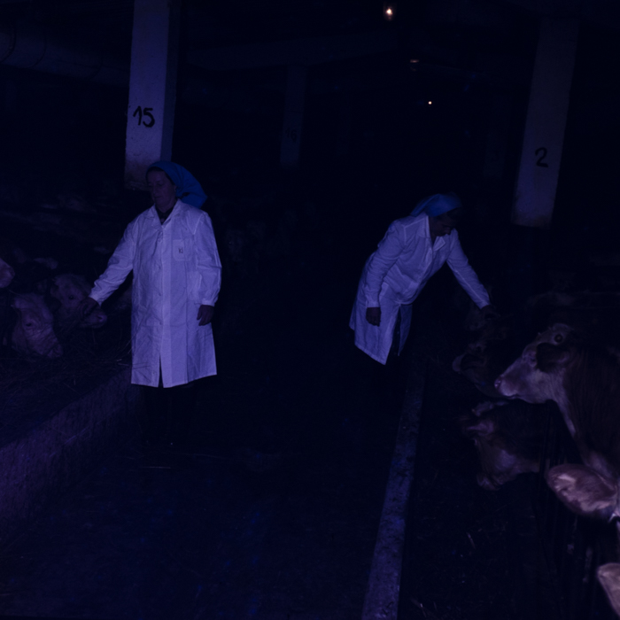 minerva_dn_1980_2452_targu_secuiesc_d.a.s_002