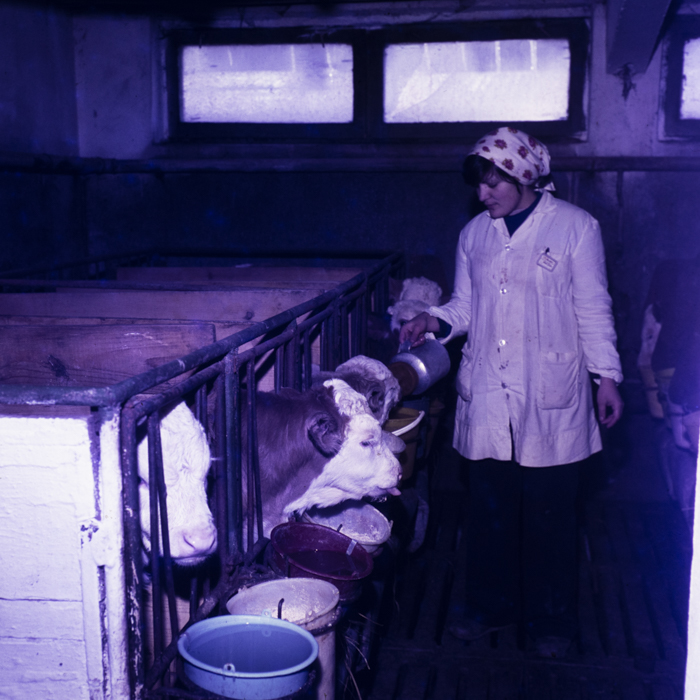 minerva_dn_1980_2452_targu_secuiesc_d.a.s_003