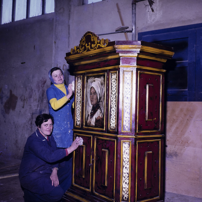 minerva_dn_1980_2462_aspecte_seini_003