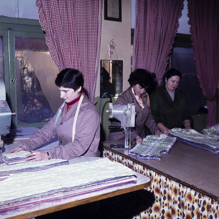 minerva_dn_1980_2462_aspecte_seini_007