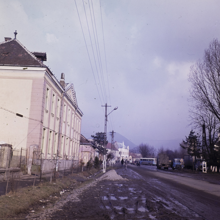 minerva_dn_1980_2462_aspecte_seini_008