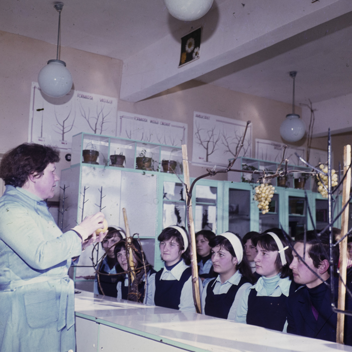 minerva_dn_1980_2462_aspecte_seini_010