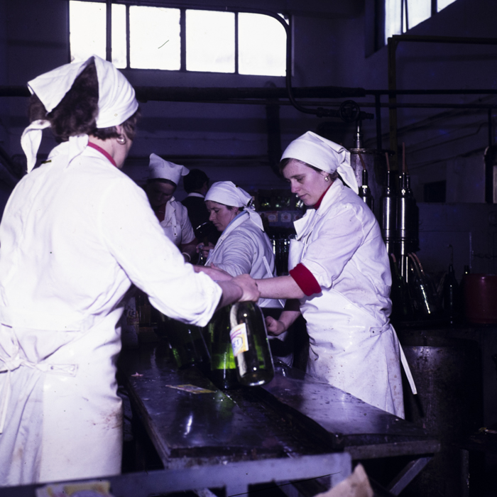 minerva_dn_1980_2462_aspecte_seini_011