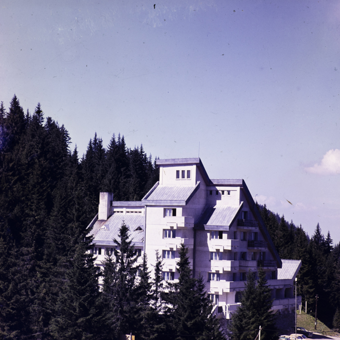 minerva_dn_1980_2462_aspecte_seini_012