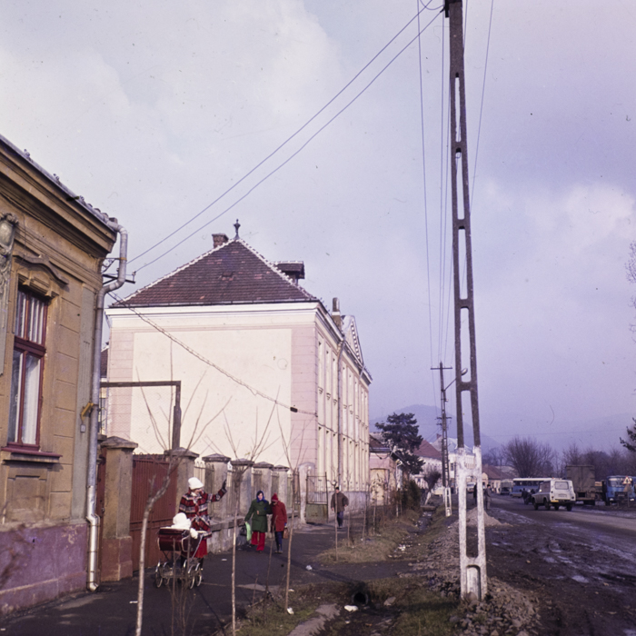 minerva_dn_1980_2462_aspecte_seini_013