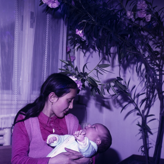 minerva_dn_1980_2464_fam_szocs_vlahuta_002