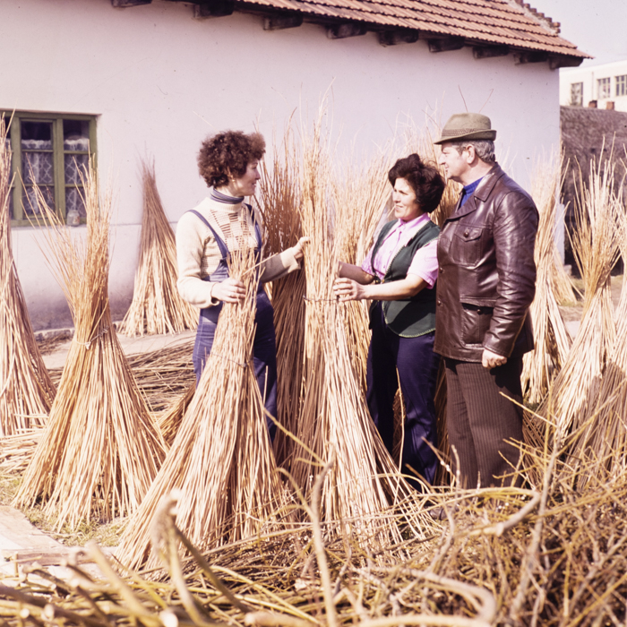 minerva_dn_1980_2465_aspecte_jud._satu_mare002