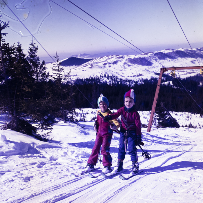 minerva_dn_1980_2467_baisoara_aspecte_002