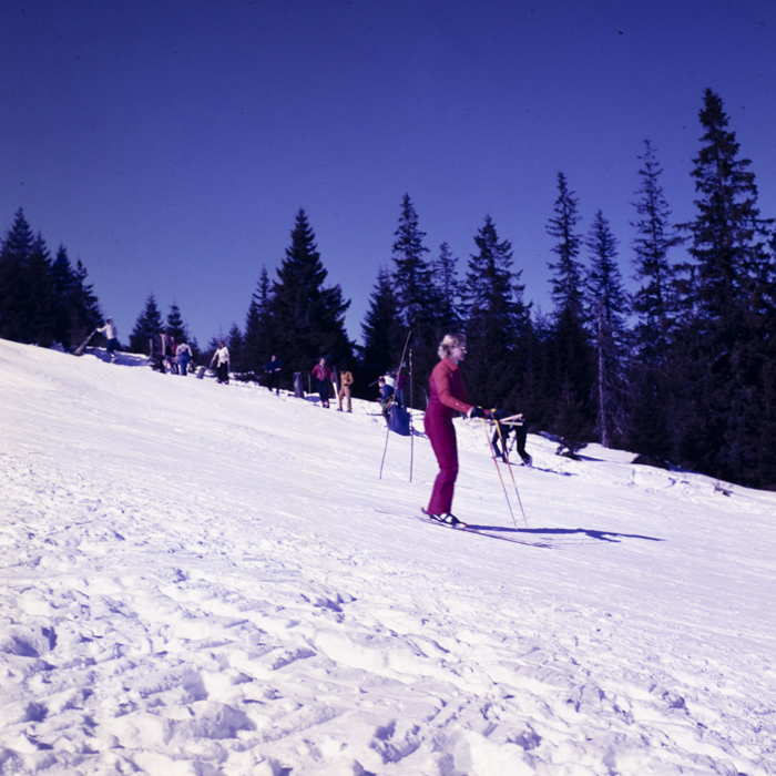 minerva_dn_1980_2467_baisoara_aspecte_004