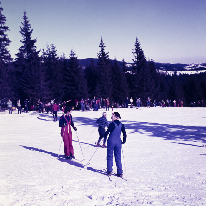 minerva_dn_1980_2467_baisoara_aspecte_005