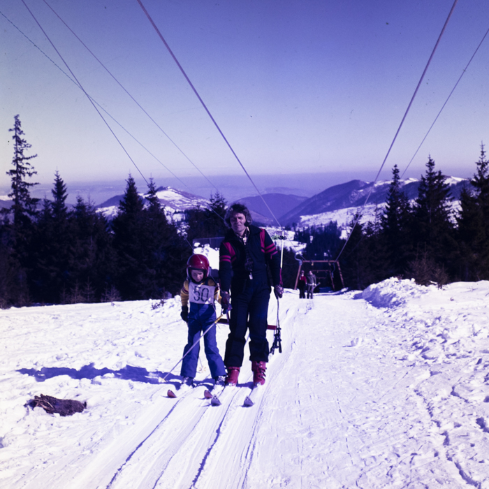 minerva_dn_1980_2467_baisoara_aspecte_009