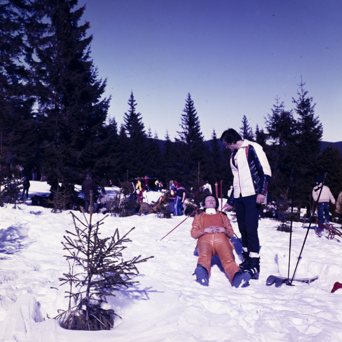 minerva_dn_1980_2467_baisoara_aspecte_010