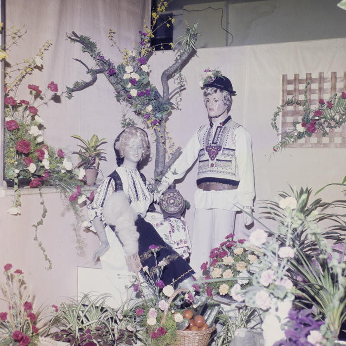 minerva_dn_1980_2469_expozitie_de_flori_005