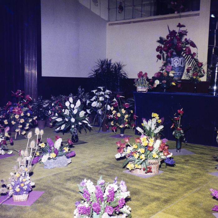 minerva_dn_1980_2469_expozitie_de_flori_007