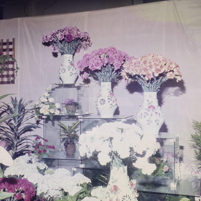minerva_dn_1980_2469_expozitie_de_flori_008
