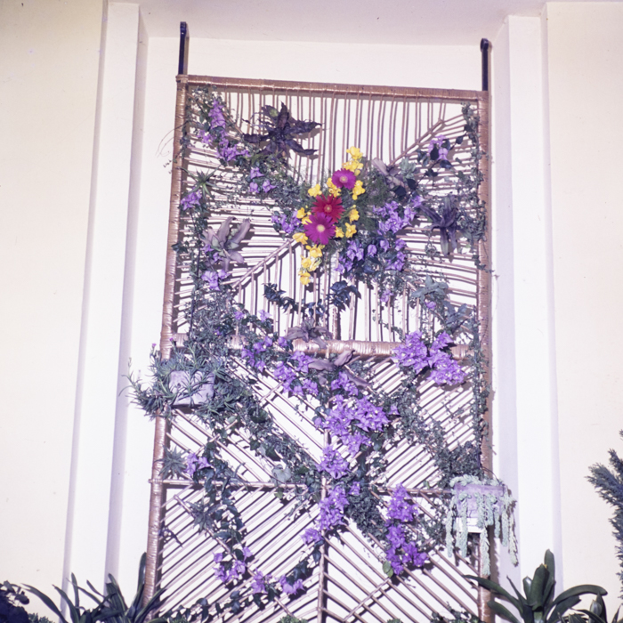 minerva_dn_1980_2469_expozitie_de_flori_010