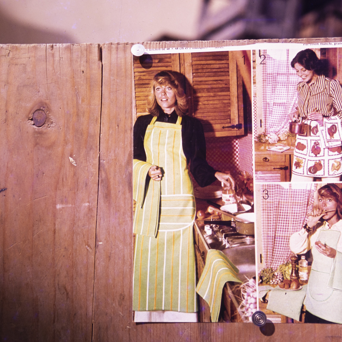 minerva_dn_1980_2472_reproduceri_001