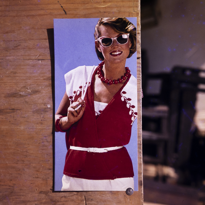 minerva_dn_1980_2472_reproduceri_002