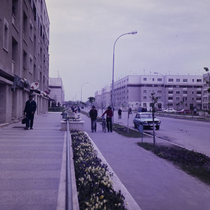 minerva_dn_1980_2479_aspecte_zimnicea_judetul_teleorman_001