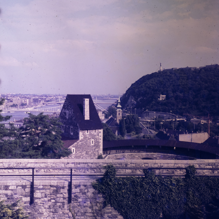 minerva_dn_1980_2494_r.p.u.r.s.c_003