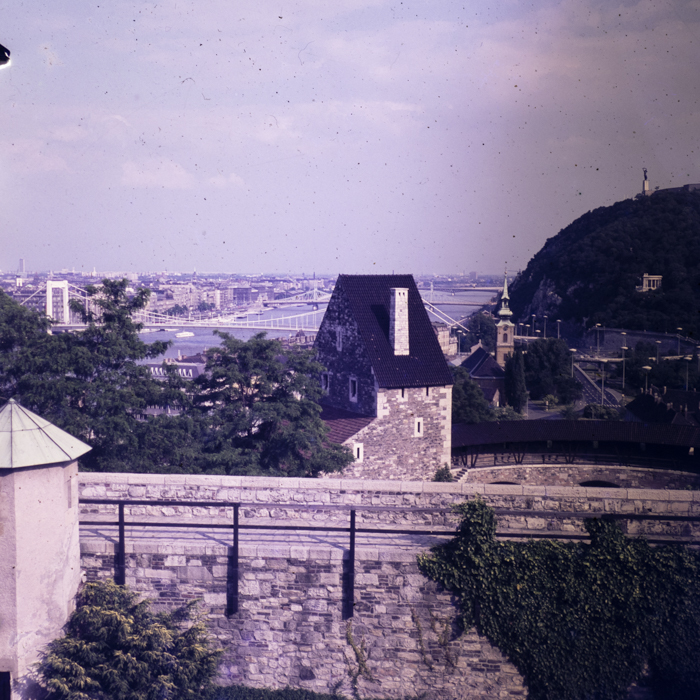 minerva_dn_1980_2494_r.p.u.r.s.c_004