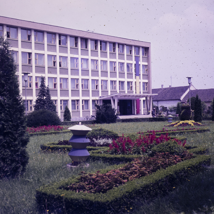 minerva_dn_1980_2496_sannicolau_judetul_timis_001