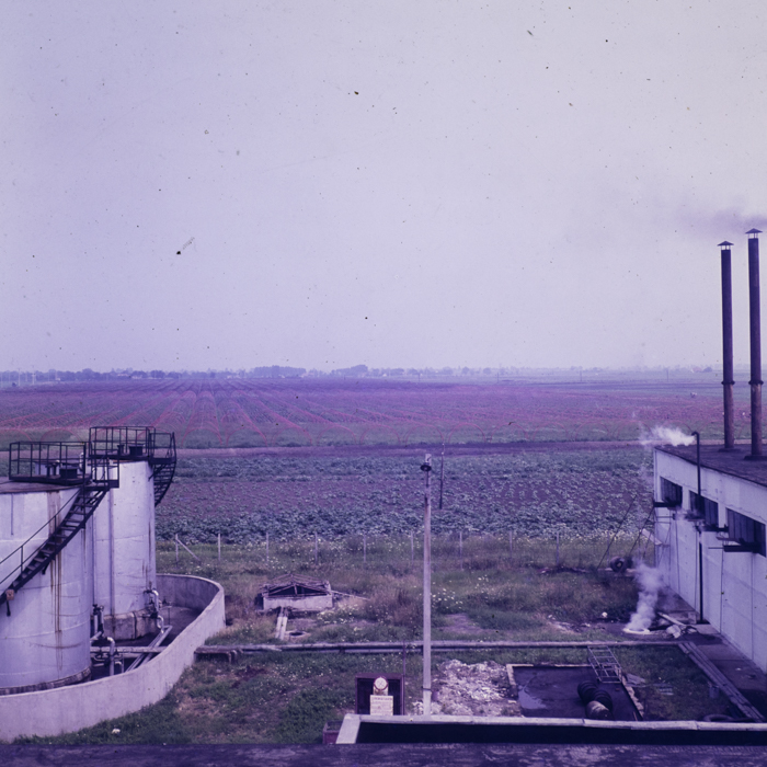 minerva_dn_1980_2496_sannicolau_judetul_timis_002