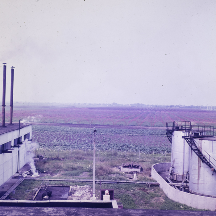 minerva_dn_1980_2496_sannicolau_judetul_timis_003