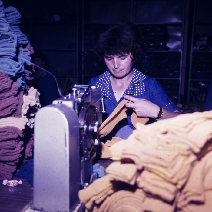 minerva_dn_1980_2496_sannicolau_judetul_timis_004