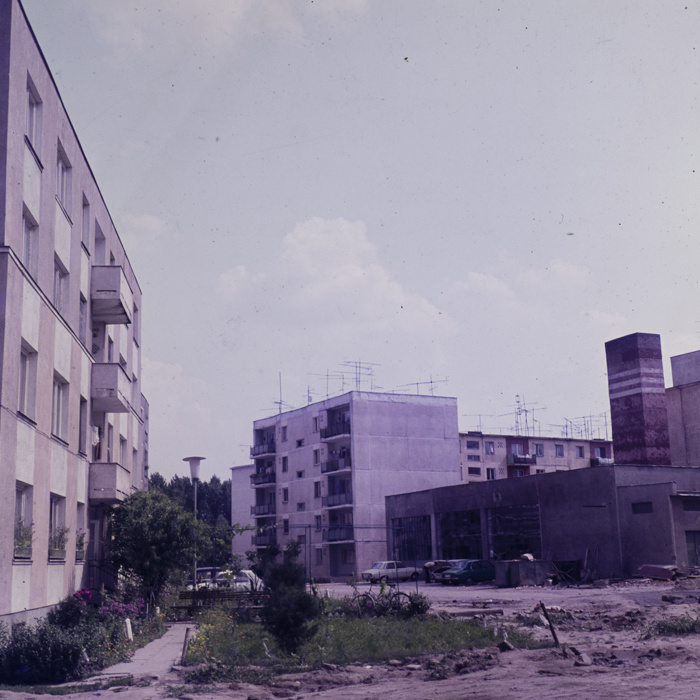 minerva_dn_1980_2496_sannicolau_judetul_timis_007