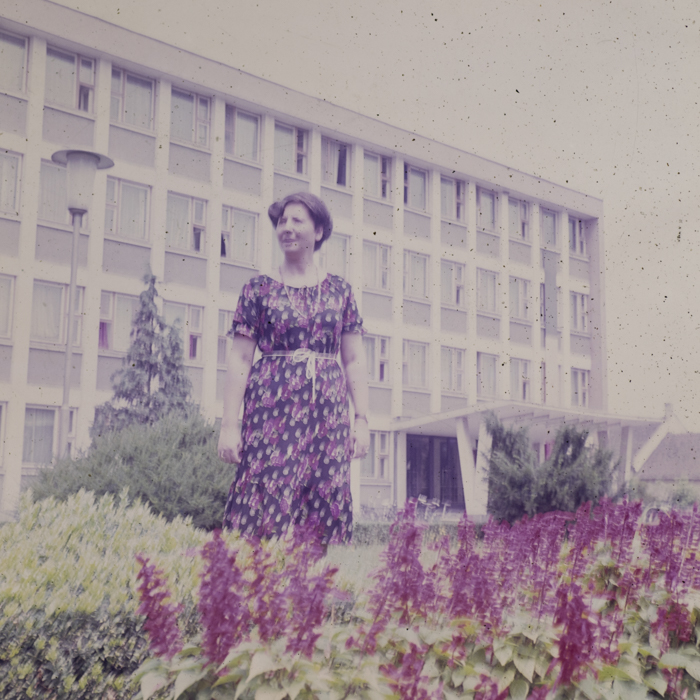 minerva_dn_1980_2496_sannicolau_judetul_timis_008