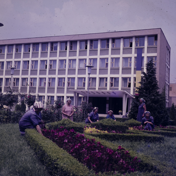 minerva_dn_1980_2496_sannicolau_judetul_timis_009
