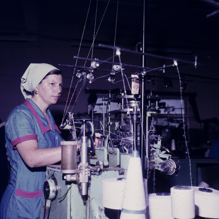 minerva_dn_1980_2496_sannicolau_judetul_timis_010