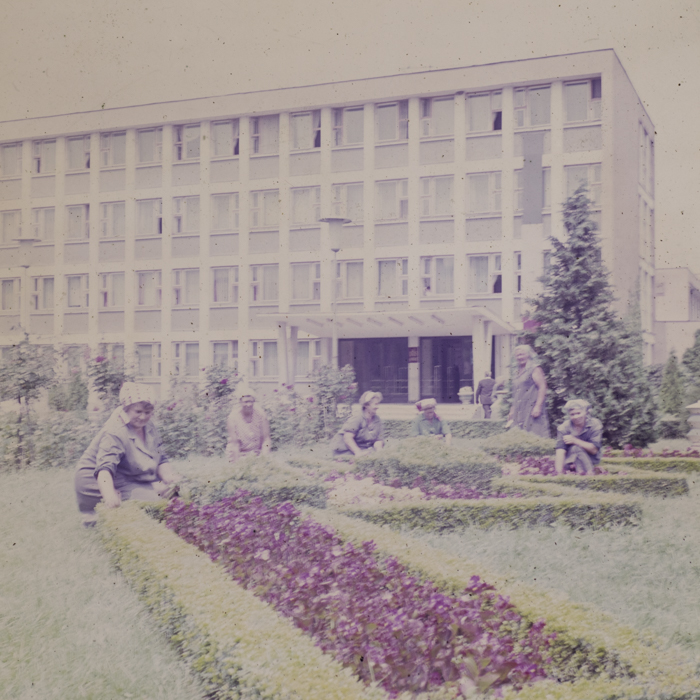 minerva_dn_1980_2496_sannicolau_judetul_timis_012