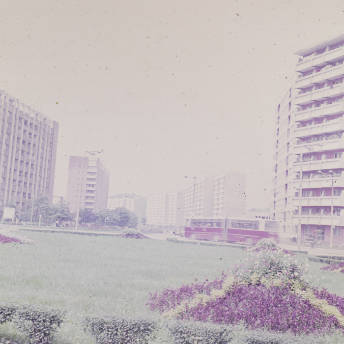 minerva_dn_1980_2497_resita_001