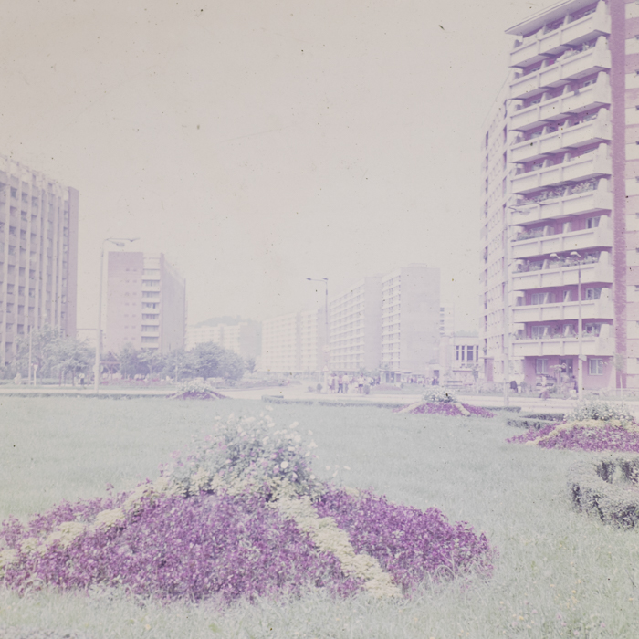 minerva_dn_1980_2497_resita_002