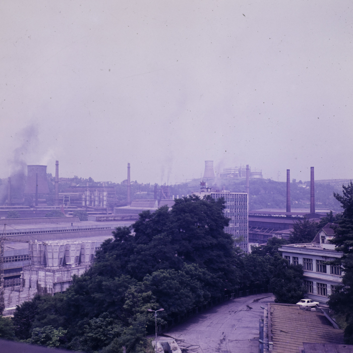 minerva_dn_1980_2497_resita_004