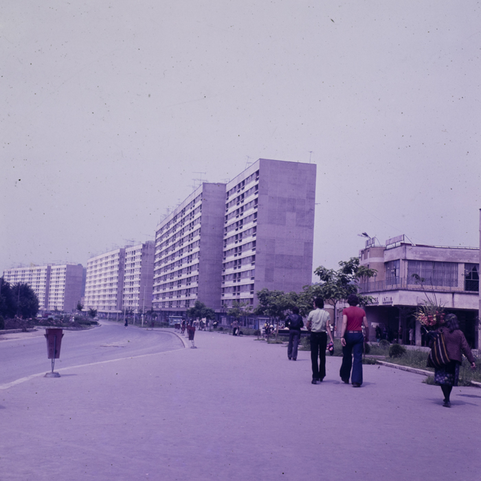 minerva_dn_1980_2497_resita_005