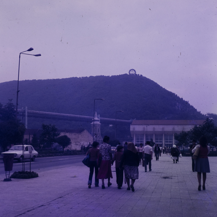 minerva_dn_1980_2497_resita_006