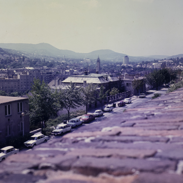 minerva_dn_1980_2506_hank_kinga_006