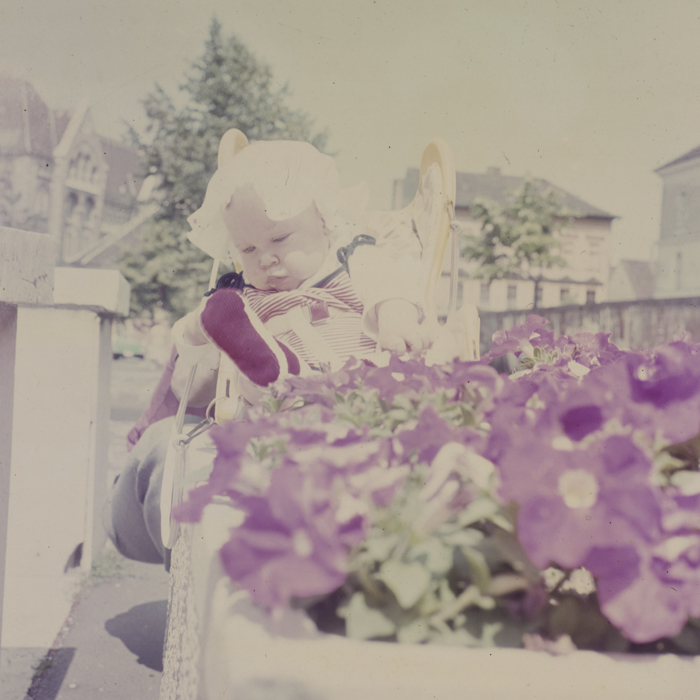 minerva_dn_1980_2506_hank_kinga_010